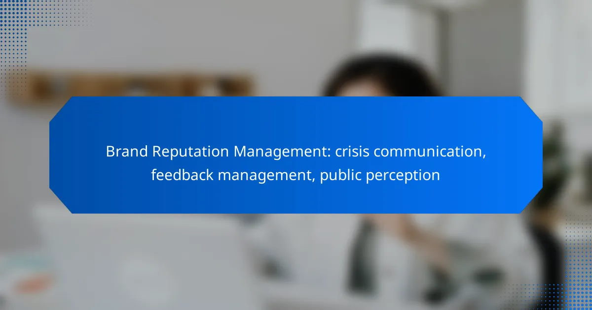 Brand Reputation Management: crisis communication, feedback management, public perception