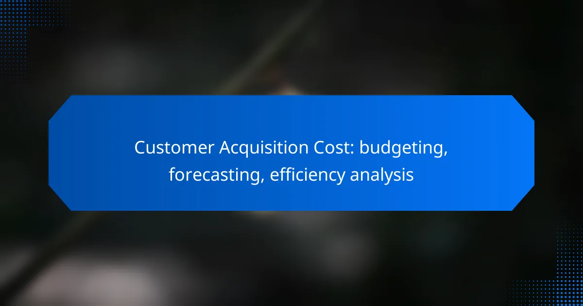 Customer Acquisition Cost: budgeting, forecasting, efficiency analysis