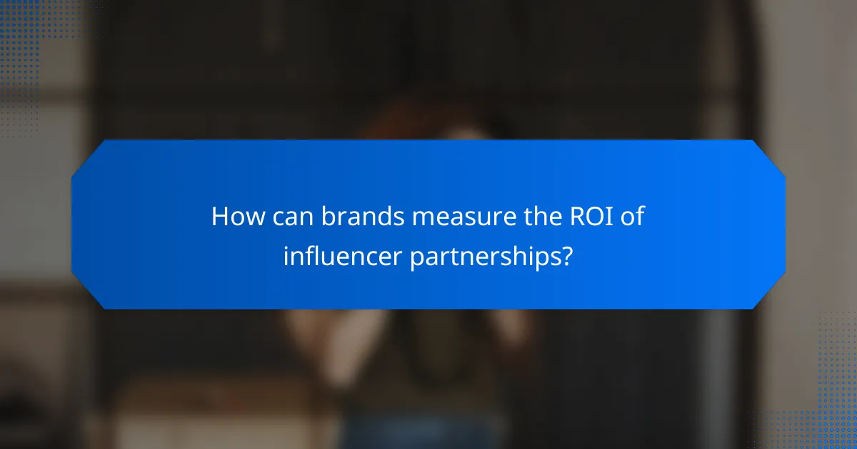 How can brands measure the ROI of influencer partnerships?