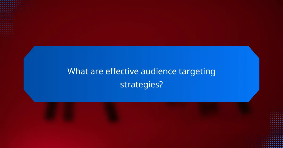 What are effective audience targeting strategies?