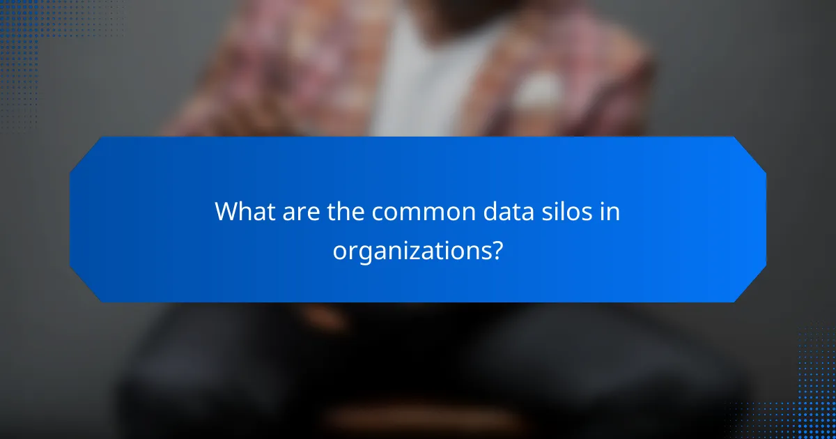 What are the common data silos in organizations?